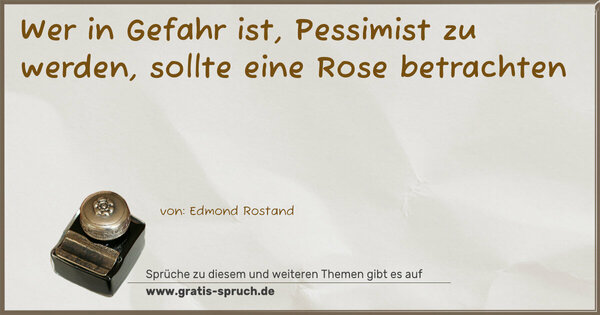 Wer in Gefahr ist,
Pessimist zu werden,
sollte eine Rose betrachten
