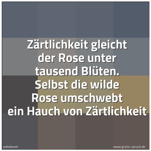 Spruchbild mit dem Text 'Zärtlichkeit gleicht der Rose
unter tausend Blüten.
Selbst die wilde Rose
umschwebt ein Hauch von Zärtlichkeit'