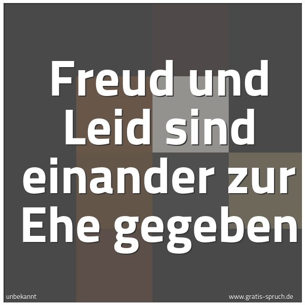Spruchbild mit dem Text 'Freud und Leid sind einander zur Ehe gegeben'