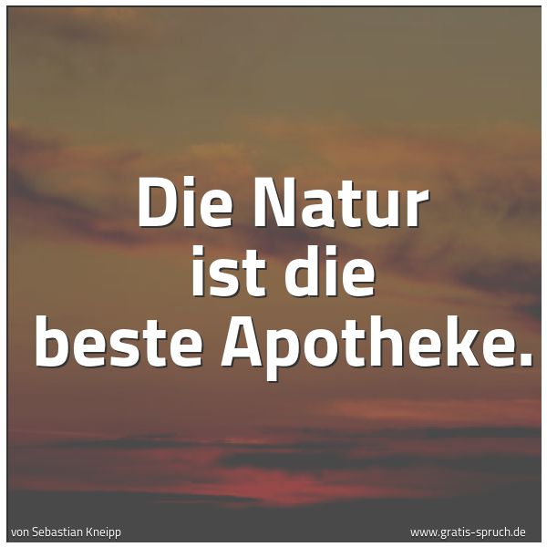 Spruchbild mit dem Text 'Die Natur ist die beste Apotheke.'