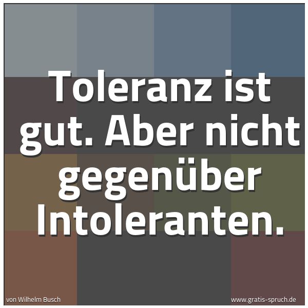 Spruchbild mit dem Text 'Toleranz ist gut. Aber nicht gegenüber Intoleranten. '