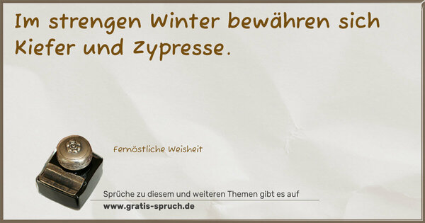 Im strengen Winter bewähren sich Kiefer und Zypresse.