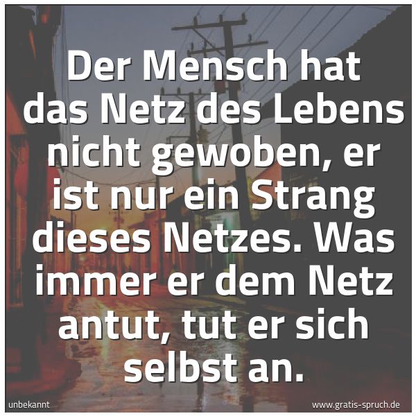 Spruchbild mit dem Text 'Der Mensch hat das Netz des Lebens nicht gewoben,
er ist nur ein Strang dieses Netzes.
Was immer er dem Netz antut, tut er sich selbst an. '