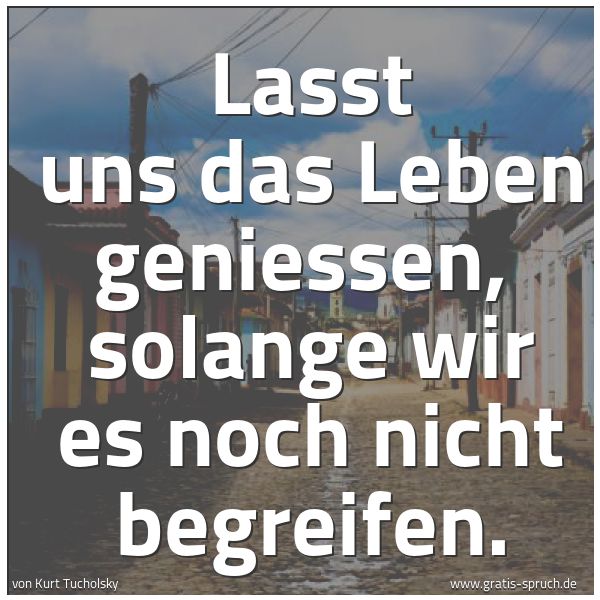 Spruchbild mit dem Text 'Lasst uns das Leben geniessen,
solange wir es noch nicht begreifen. '