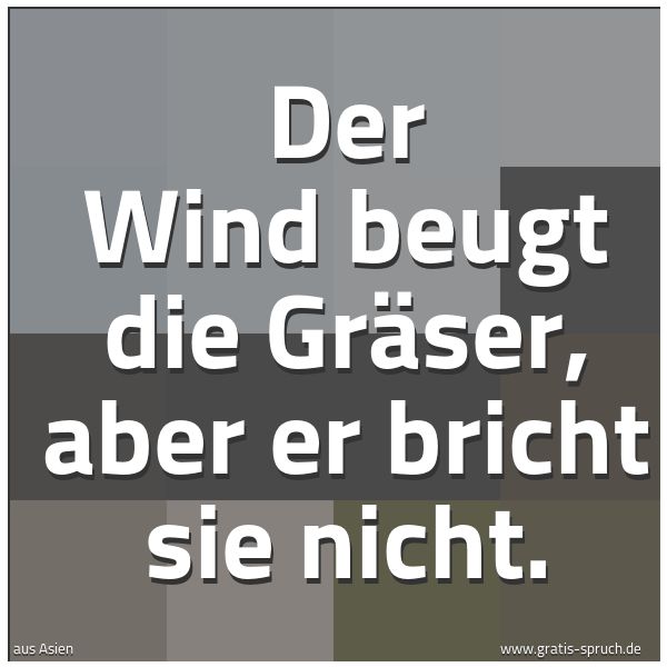 Spruchbild mit dem Text 'Der Wind beugt die Gräser, aber er bricht sie nicht.'