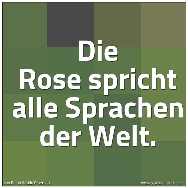 Spruchbild mit dem Text 'Die Rose spricht alle Sprachen der Welt.'