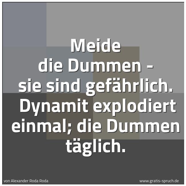 Spruchbild mit dem Text 'Meide die Dummen - sie sind gefährlich.
Dynamit explodiert einmal; die Dummen täglich. '