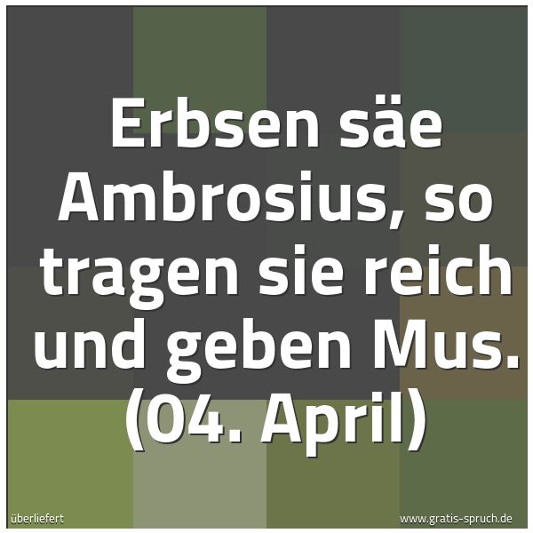 Spruchbild mit dem Text 'Erbsen säe Ambrosius,
so tragen sie reich und geben Mus.
(04. April)'