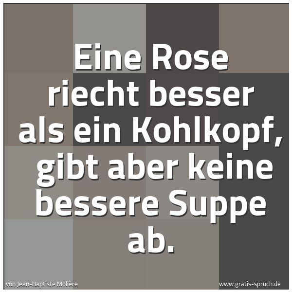 Spruchbild mit dem Text 'Eine Rose riecht besser als ein Kohlkopf,
gibt aber keine bessere Suppe ab.'