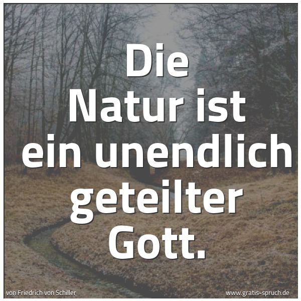 Spruchbild mit dem Text 'Die Natur ist ein unendlich geteilter Gott.'