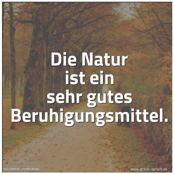 Spruchbild mit dem Text 'Die Natur ist ein sehr gutes Beruhigungsmittel.'