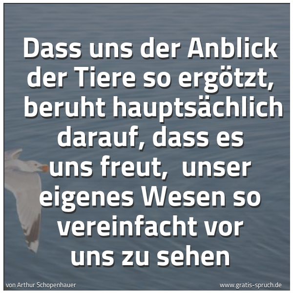 Spruchbild mit dem Text 'Dass uns der Anblick der Tiere so ergötzt,
beruht hauptsächlich darauf, dass es uns freut,
unser eigenes Wesen so vereinfacht vor uns zu sehen'