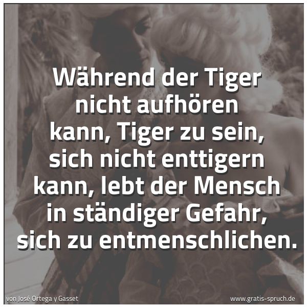 Spruchbild mit dem Text 'Während der Tiger nicht aufhören kann, Tiger zu sein, sich nicht enttigern kann, lebt der Mensch in ständiger Gefahr, sich zu entmenschlichen.'