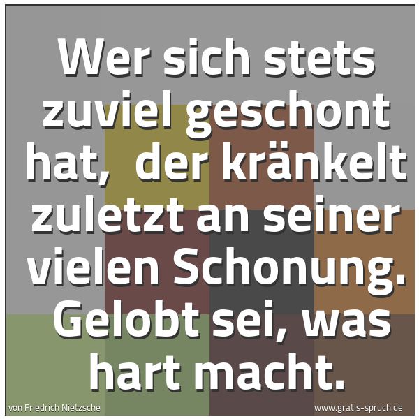 Spruchbild mit dem Text 'Wer sich stets zuviel geschont hat,
der kränkelt zuletzt an seiner vielen Schonung.
Gelobt sei, was hart macht.'