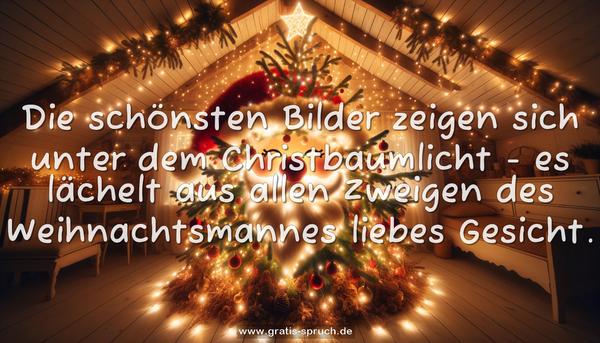 Die schönsten Bilder
zeigen sich unter dem Christbaumlicht -
es lächelt aus allen Zweigen
des Weihnachtsmannes liebes Gesicht.